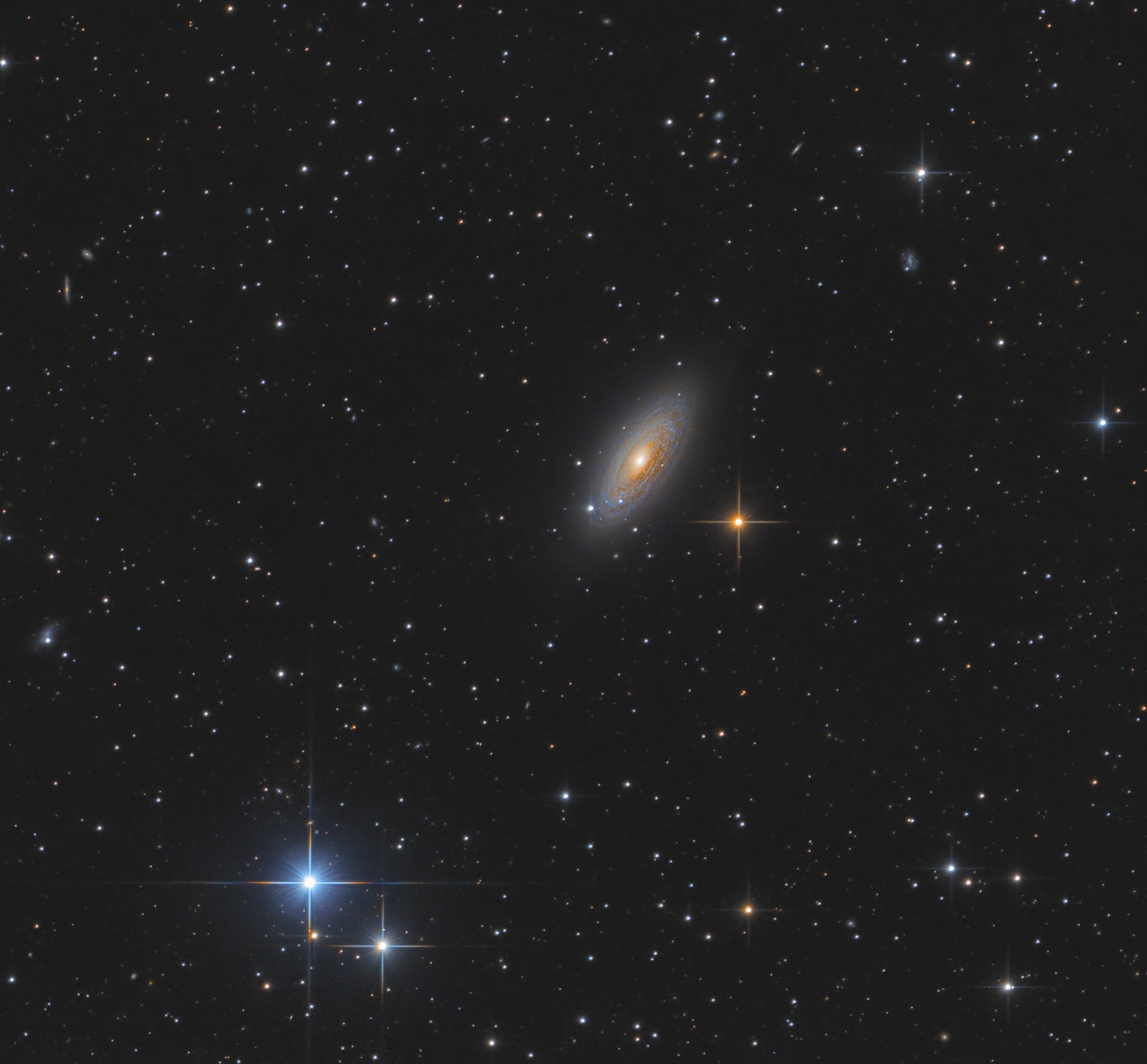 NGC 2841 - Spektrum der Wissenschaft